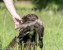 20210606-seal-0450