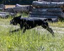 20210606-seal-0665