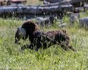 20210606-seal-0843