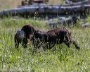 20210606-seal-0845