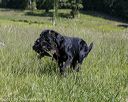 20210606-seal-1163