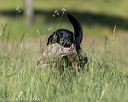 20210606-seal-1211
