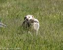 20210606-seal-1397