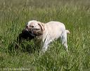 20210606-seal-1434