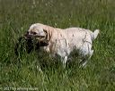 20210606-seal-1438