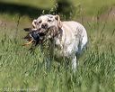 20210606-seal-1445