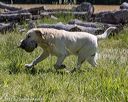 20210606-seal-1508