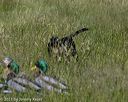 20210606-seal-1547