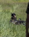 20210606-seal-1670