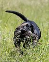 20210606-seal-1684