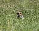 20210606-seal-1735