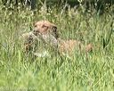 20210606-seal-1760