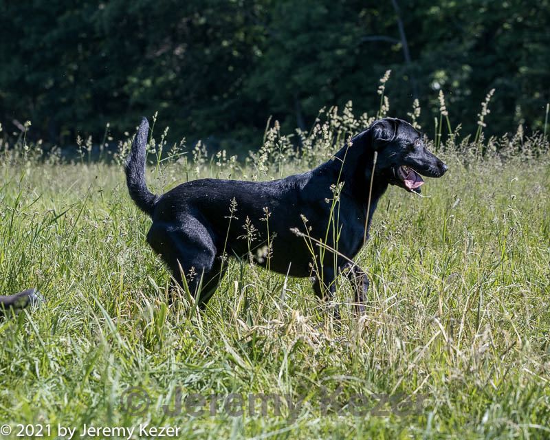 20210606-seal-0646.jpg