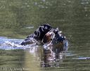 20210606-seaw-0406