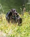 20210606-seaw-0741