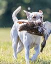 20210724-jhl-1111