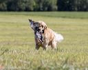 20210724-jhl-1372