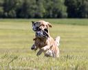 20210724-jhl-1375