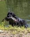 20210724-jhw-1459