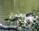 20210724-jhw-1516