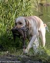 20210724-jhw-1930