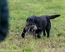 20210725-shl-0024