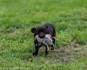 20210725-shl-0344