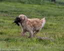 20210725-shl-0707