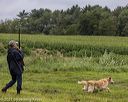 20210725-shl-0913