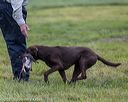 20210725-shl-1028