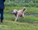 20210725-shl-1038