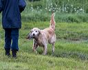 20210725-shl-1041