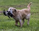 20210725-shl-1093
