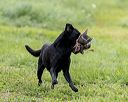20210725-shl-1160