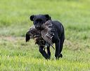 20210725-shl-1212