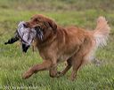 20210725-shl-1291