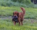 20210725-shl-1484