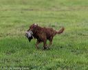 20210725-shl-1496