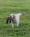 20210725-shl-1539