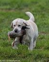 20210725-shl-1662