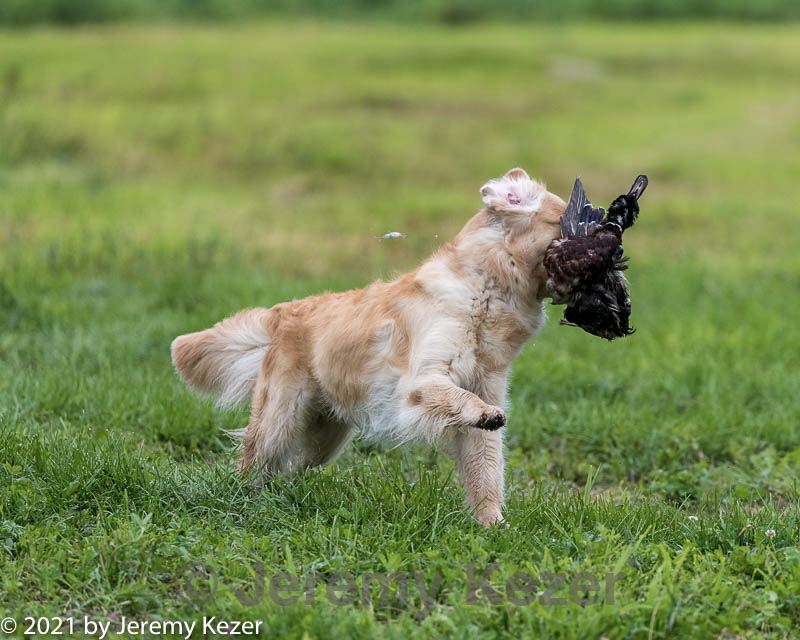 20210725-shl-0679.jpg