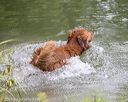 20210725-shw-1496