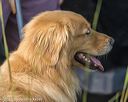 20210807-shl-0185