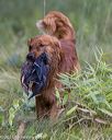 20210807-shl-0415