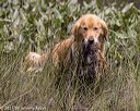 20210807-shw-0167