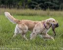20210808-jhl-1335