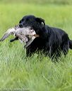 20210808-jhl-1432