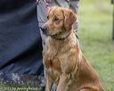 20210808-jhl-1540