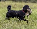 20210808-jhl-1620