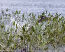 20210808-jhw-0038